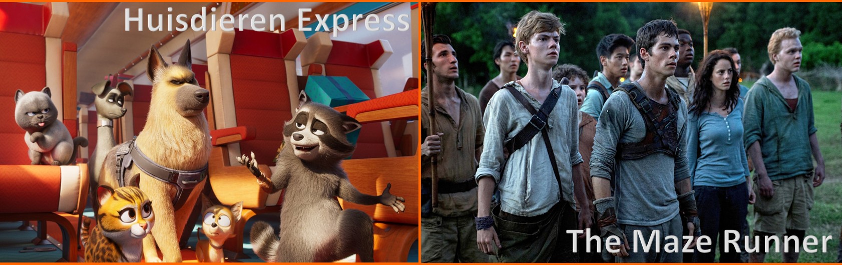 Filmmiddag en -avond